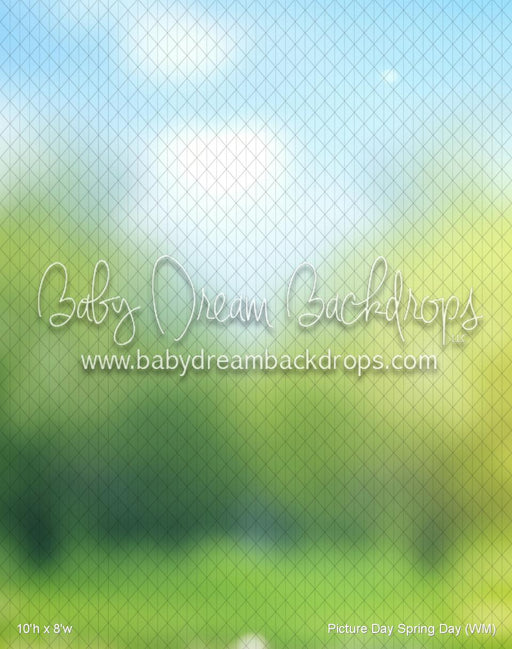 Picture Day Spring Day (WM)