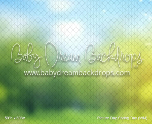 Picture Day Spring Day (WM)