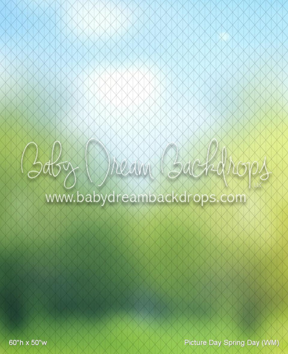 Picture Day Spring Day (WM)