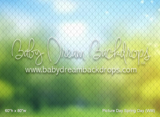 Picture Day Spring Day (WM)