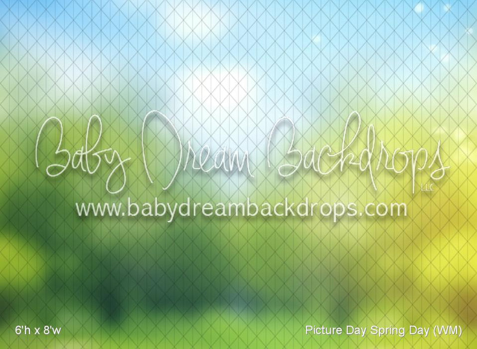 Picture Day Spring Day (WM)