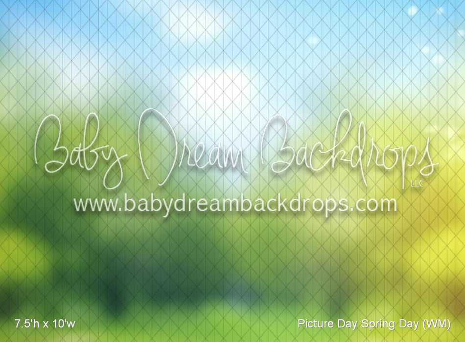 Picture Day Spring Day (WM)