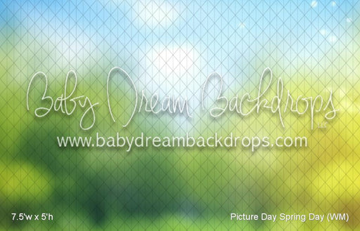 Picture Day Spring Day (WM)