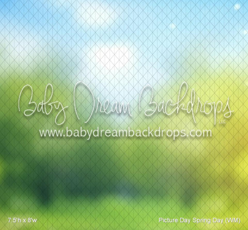 Picture Day Spring Day (WM)