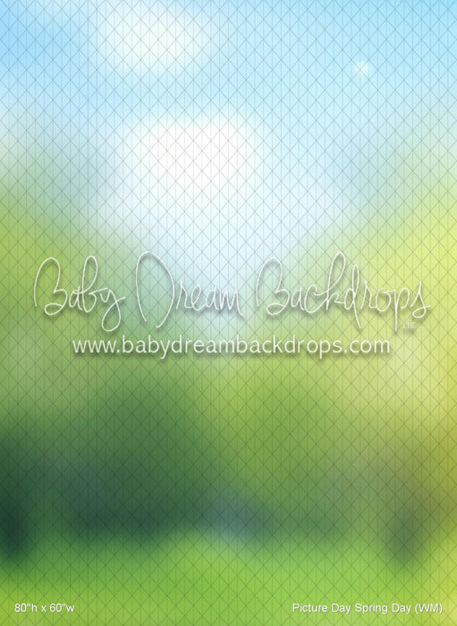 Picture Day Spring Day (WM)