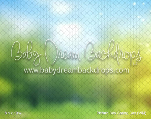 Picture Day Spring Day (WM)