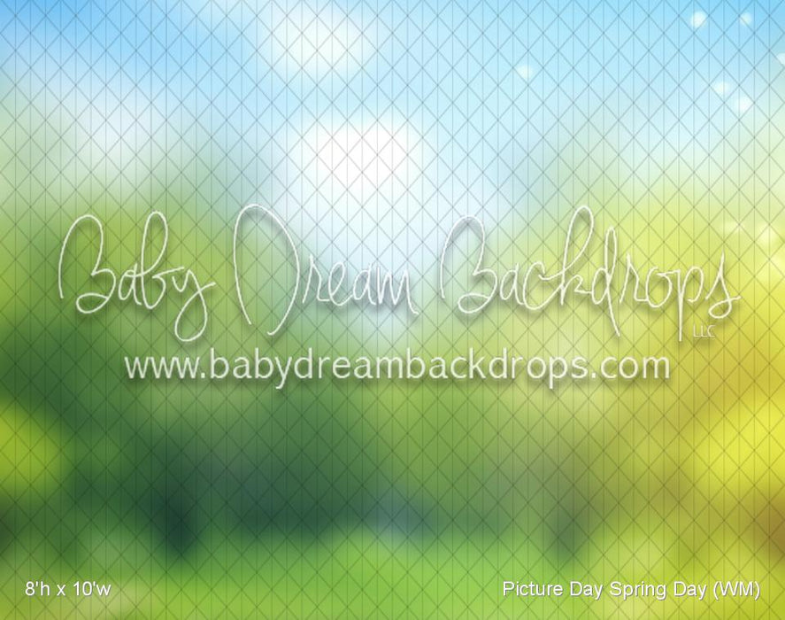 Picture Day Spring Day (WM)