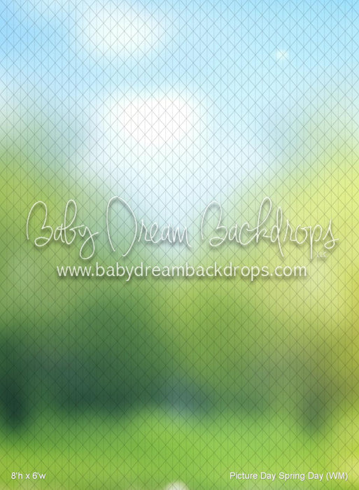 Picture Day Spring Day (WM)