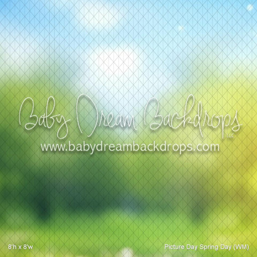 Picture Day Spring Day (WM)