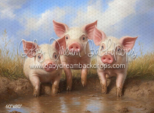 Piggy Party (CM)