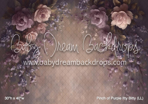 Pinch of Purple Itty Bitty (LL)