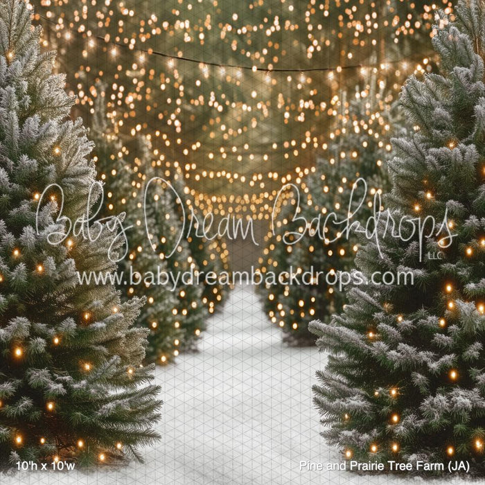 Pine and Prairie Tree Farm (JA)