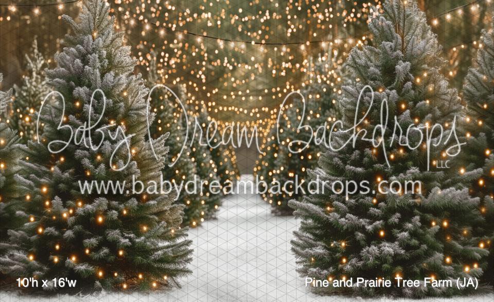 Pine and Prairie Tree Farm (JA)