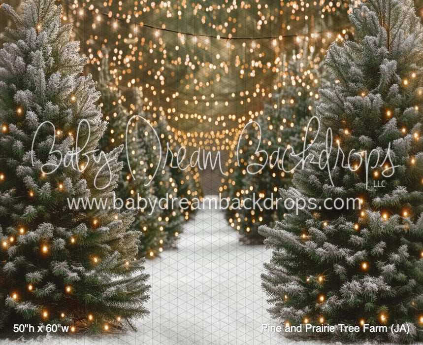 Pine and Prairie Tree Farm (JA)