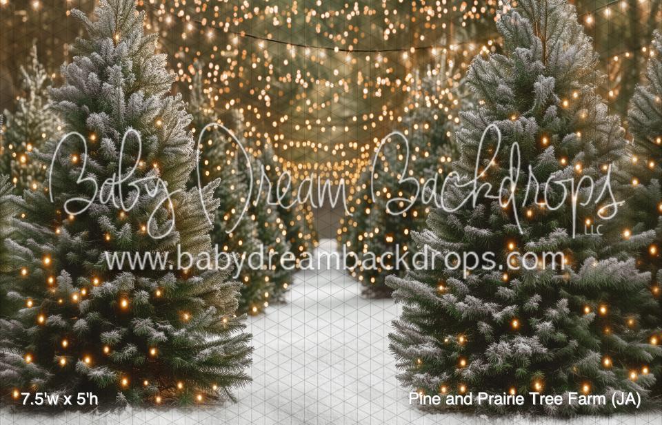 Pine and Prairie Tree Farm (JA)