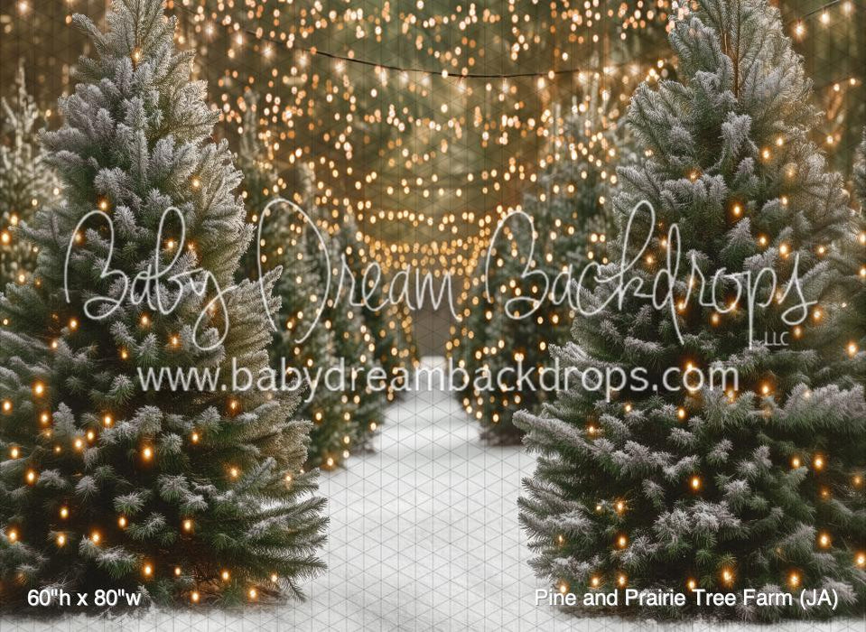 Pine and Prairie Tree Farm (JA)