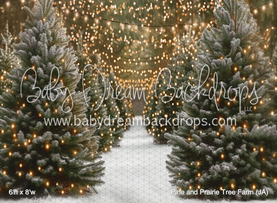 Pine and Prairie Tree Farm (JA)