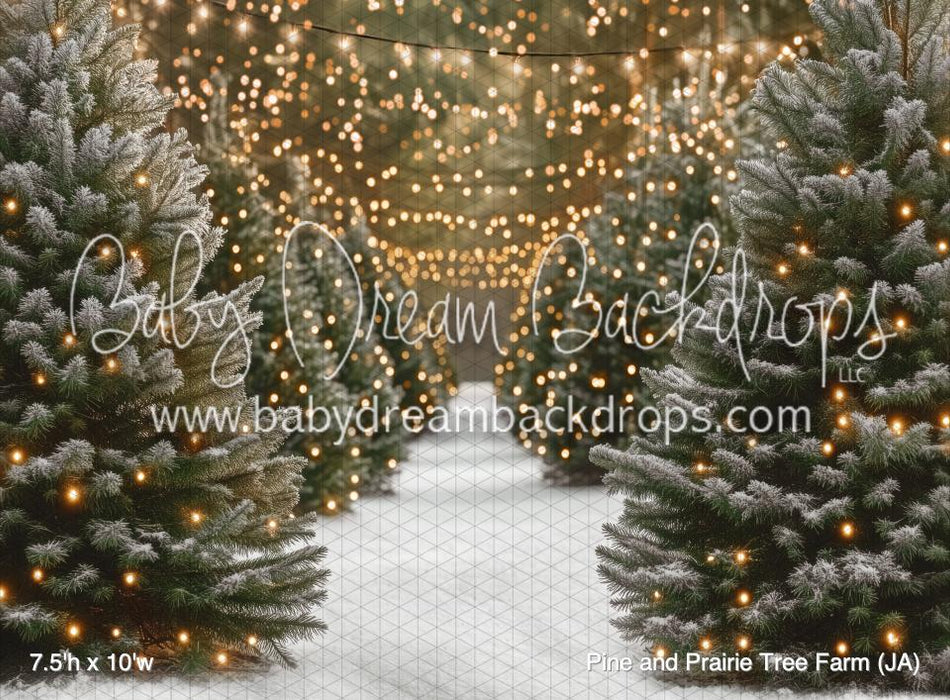 Pine and Prairie Tree Farm (JA)