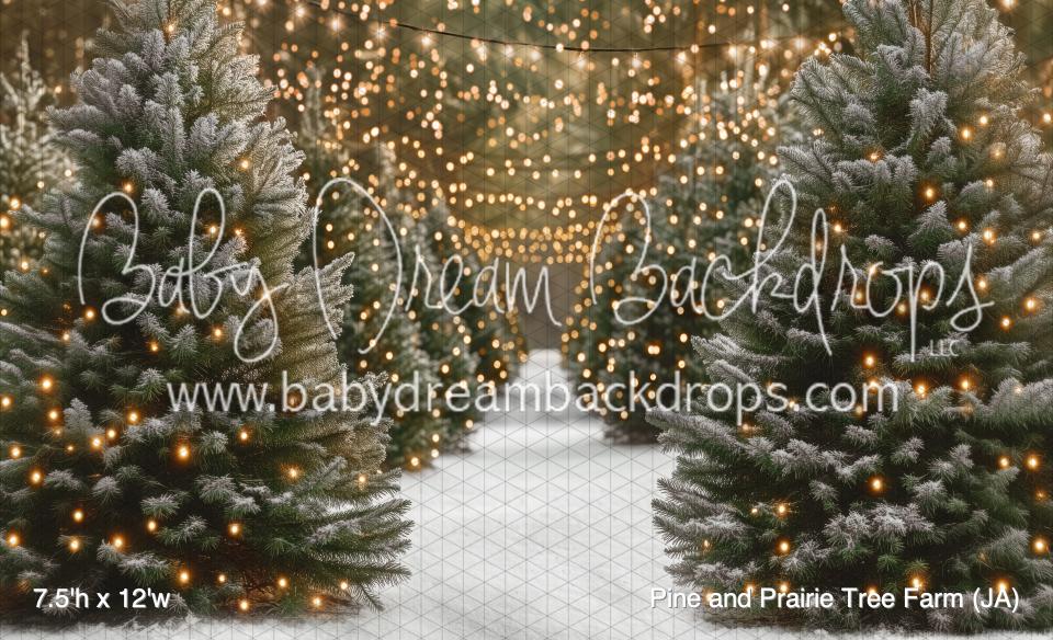 Pine and Prairie Tree Farm (JA)