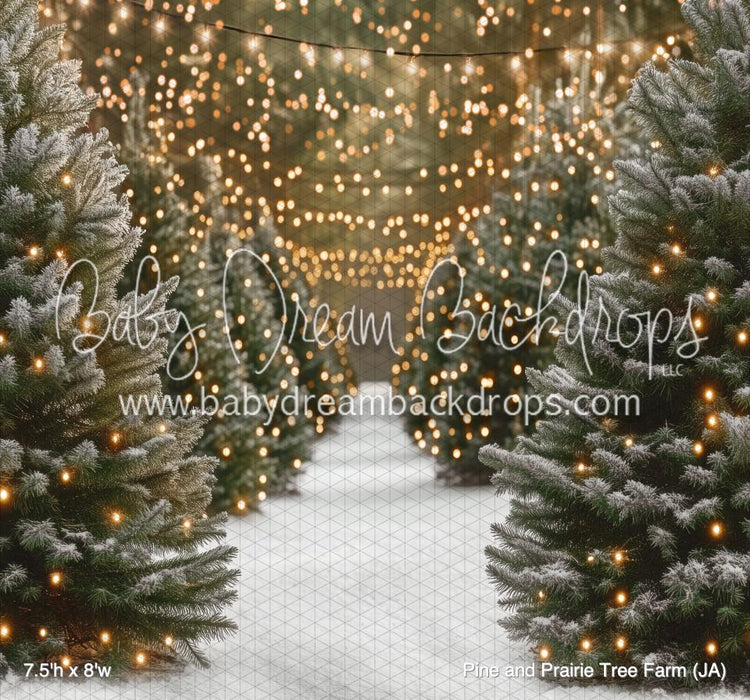 Pine and Prairie Tree Farm (JA)