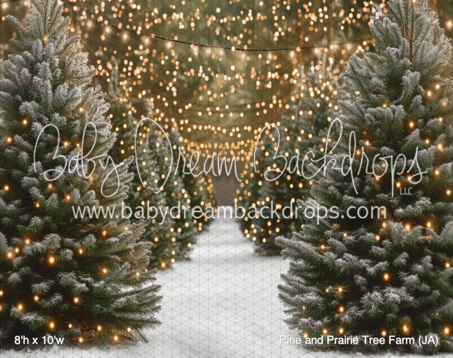 Pine and Prairie Tree Farm (JA)