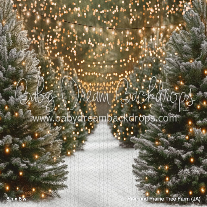 Pine and Prairie Tree Farm (JA)