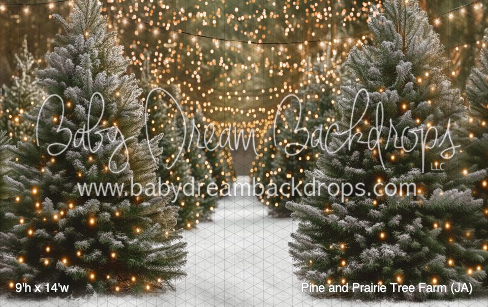 Pine and Prairie Tree Farm (JA)