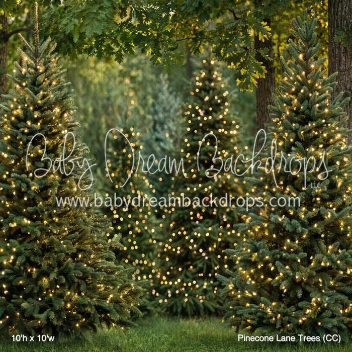 Pinecone Lane Trees (CC)
