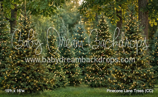 Pinecone Lane Trees (CC)