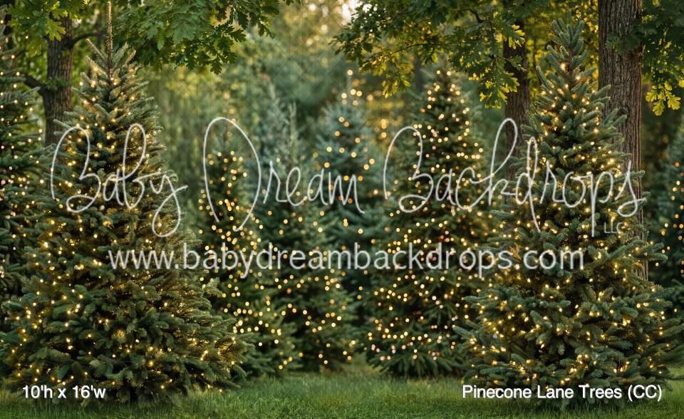 Pinecone Lane Trees (CC)