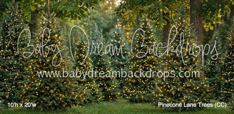 Pinecone Lane Trees (CC)