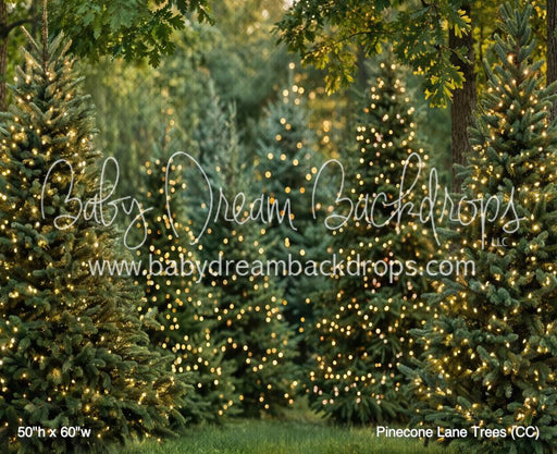 Pinecone Lane Trees (CC)