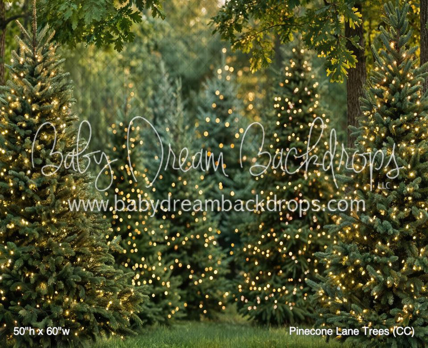 Pinecone Lane Trees (CC)
