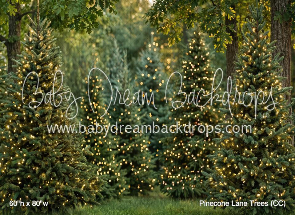 Pinecone Lane Trees (CC)