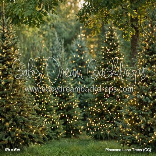 Pinecone Lane Trees (CC)
