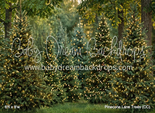 Pinecone Lane Trees (CC)