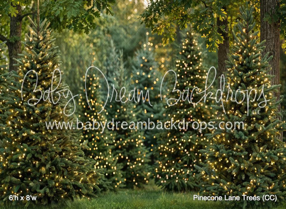 Pinecone Lane Trees (CC)