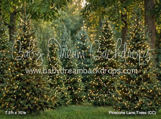 Pinecone Lane Trees (CC)