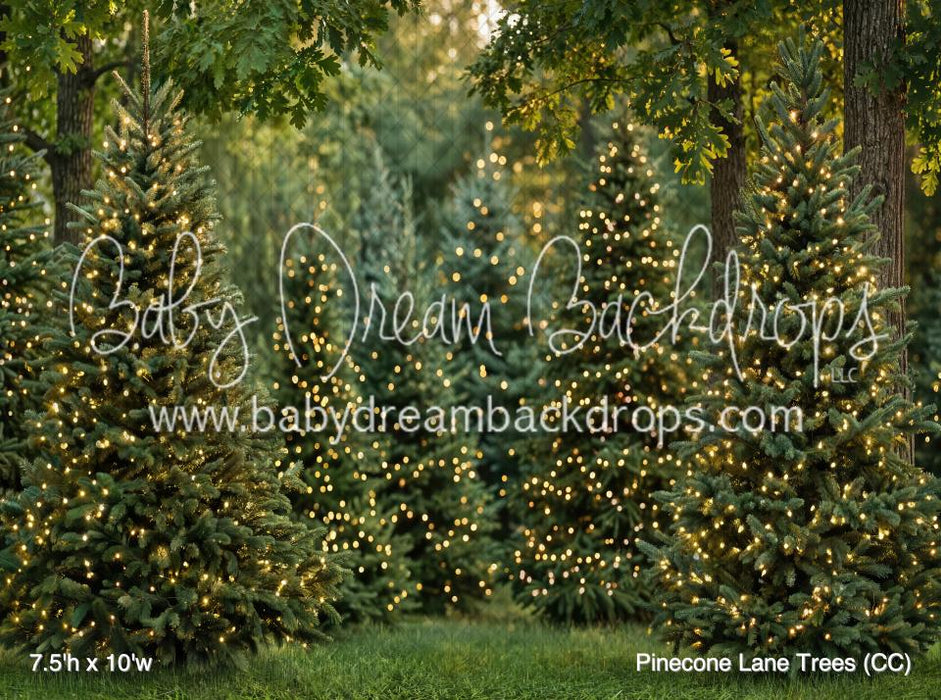 Pinecone Lane Trees (CC)