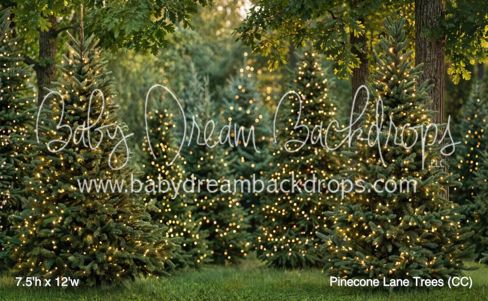 Pinecone Lane Trees (CC)