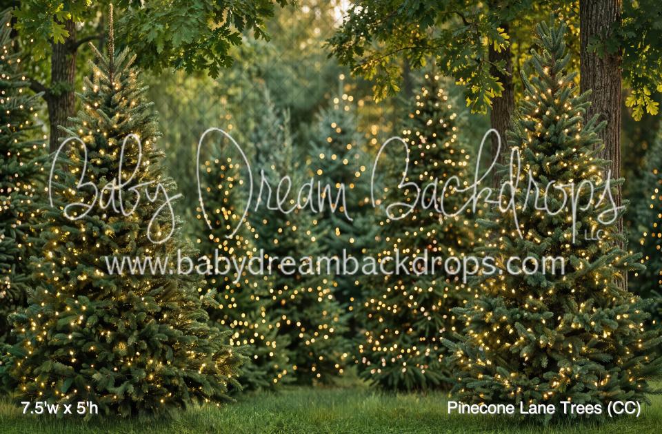 Pinecone Lane Trees (CC)