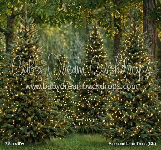 Pinecone Lane Trees (CC)