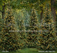 Pinecone Lane Trees (CC)