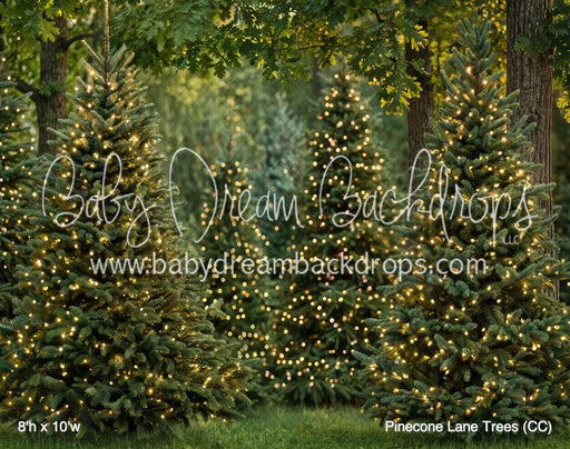 Pinecone Lane Trees (CC)
