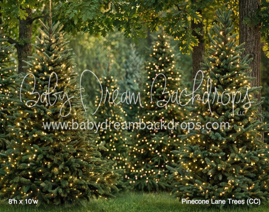 Pinecone Lane Trees (CC)