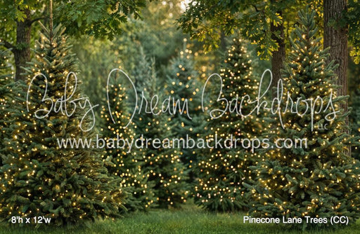 Pinecone Lane Trees (CC)
