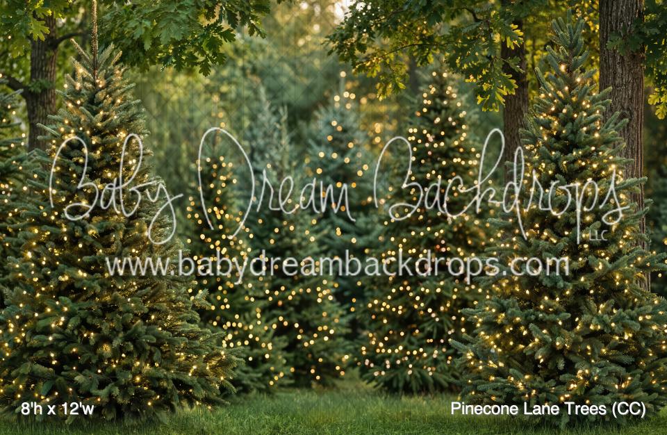 Pinecone Lane Trees (CC)