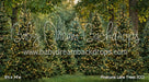 Pinecone Lane Trees (CC)