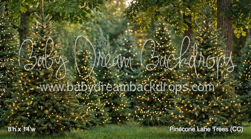 Pinecone Lane Trees (CC)