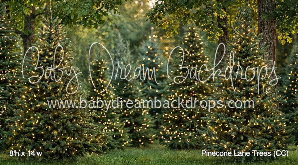Pinecone Lane Trees (CC)